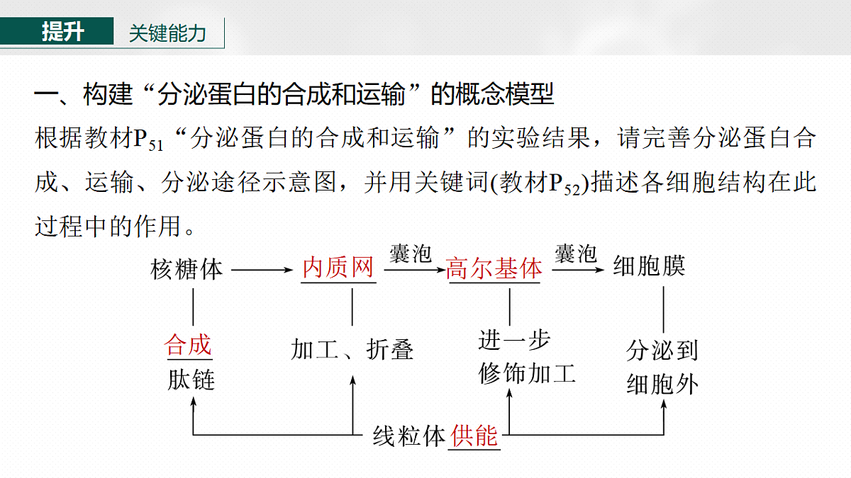 17268666第8页