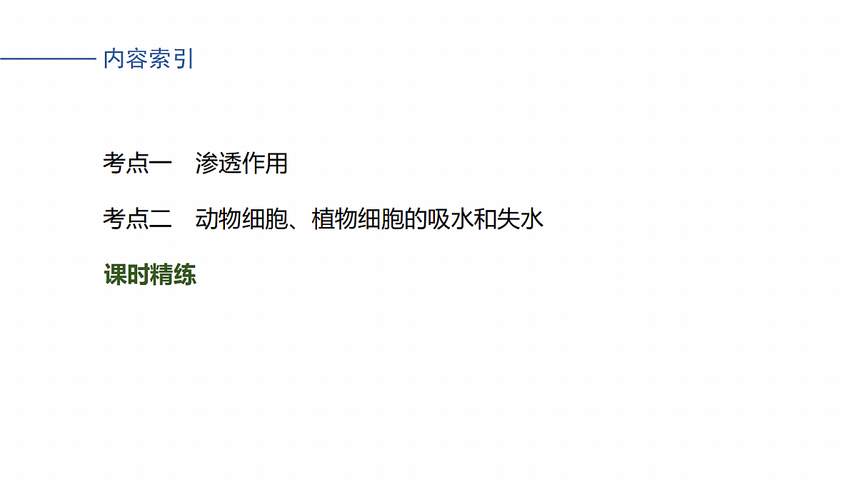 17268668第4页