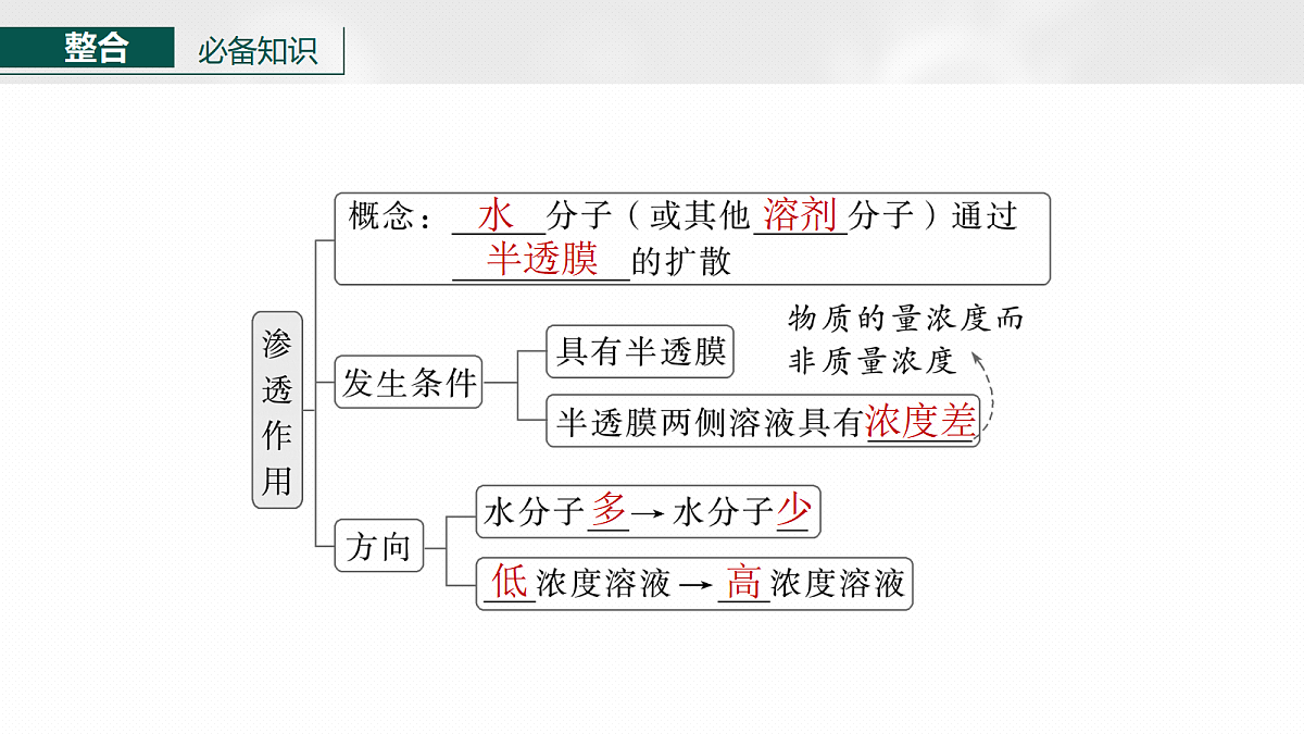 17268668第6页