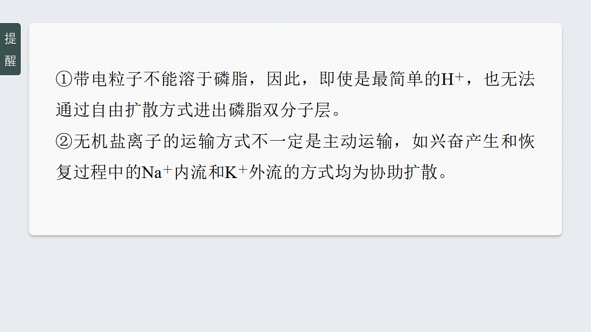17268670第6页