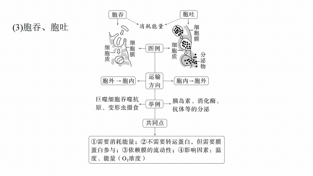 17268670第8页