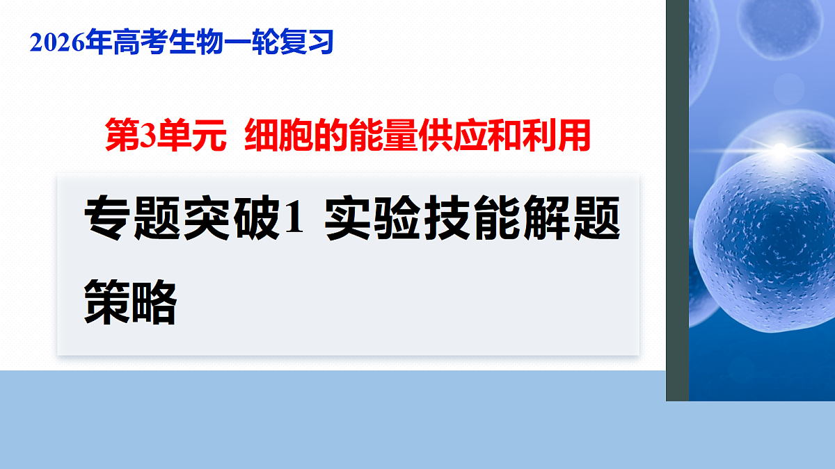 17268673第1页