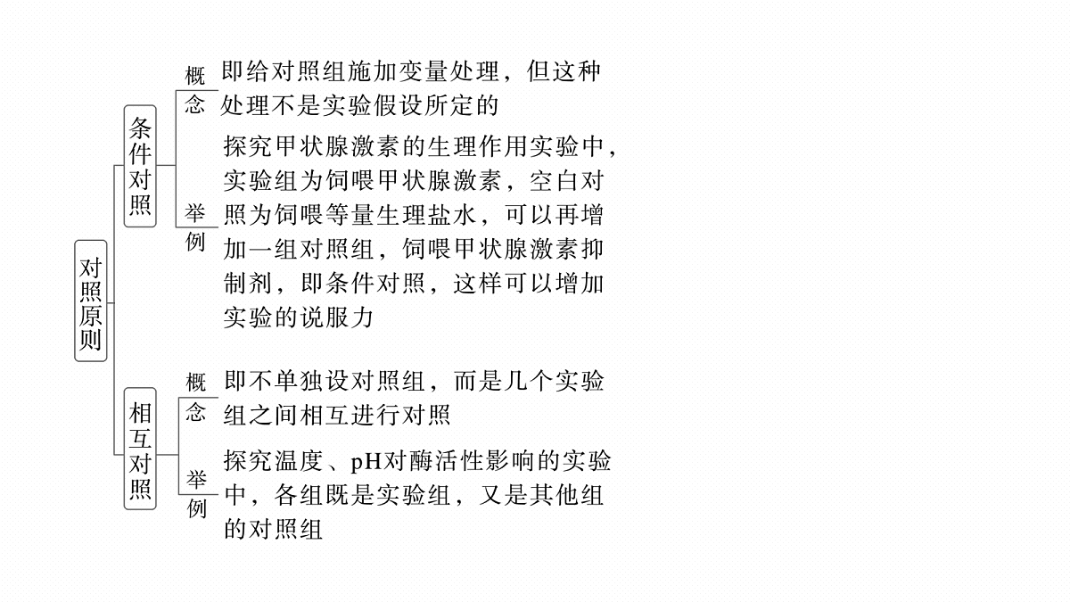 17268673第6页