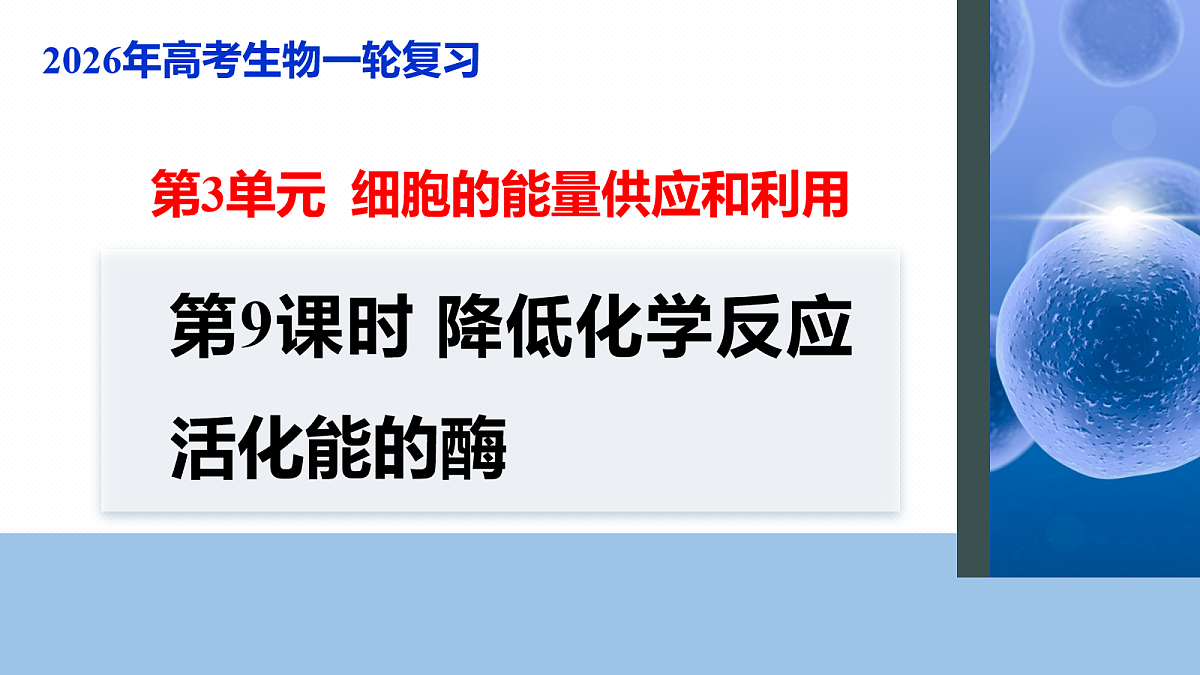 17268675第1页