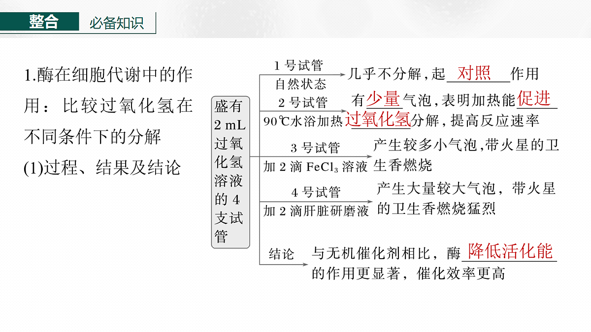 17268675第6页