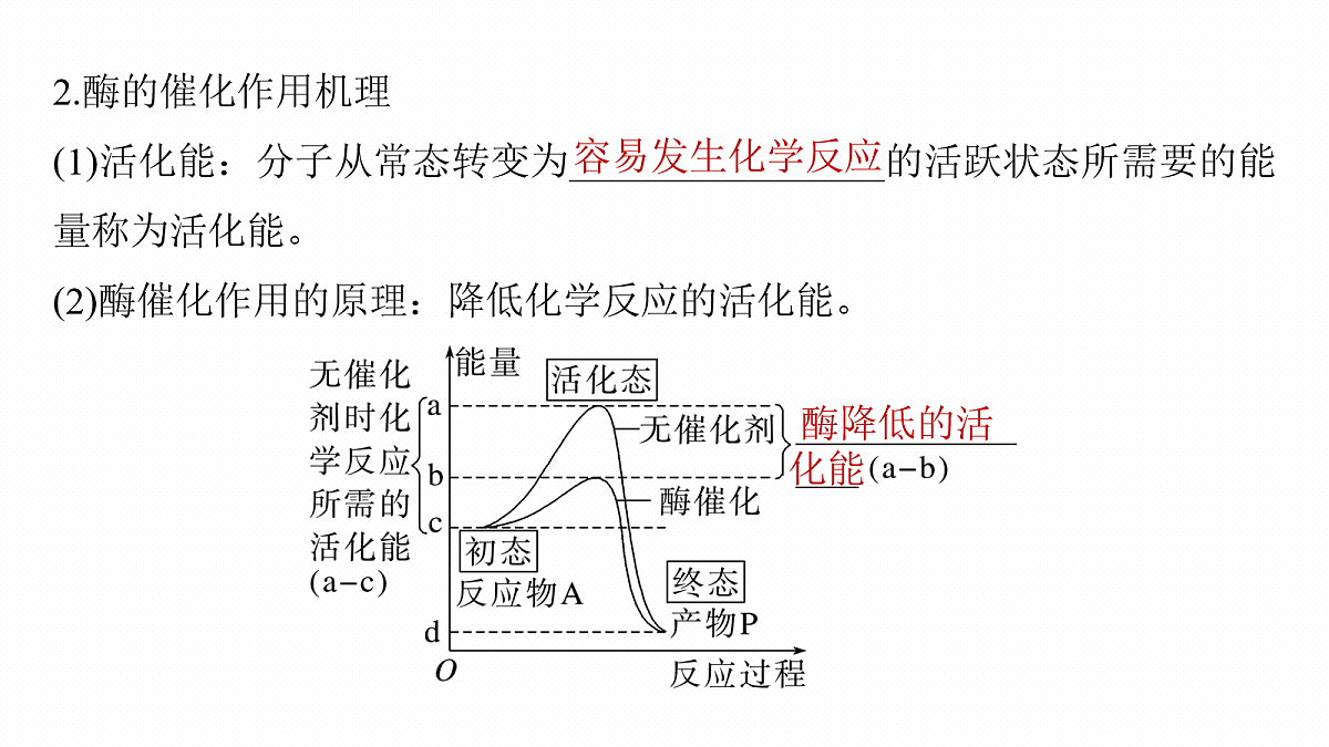 17268675第8页