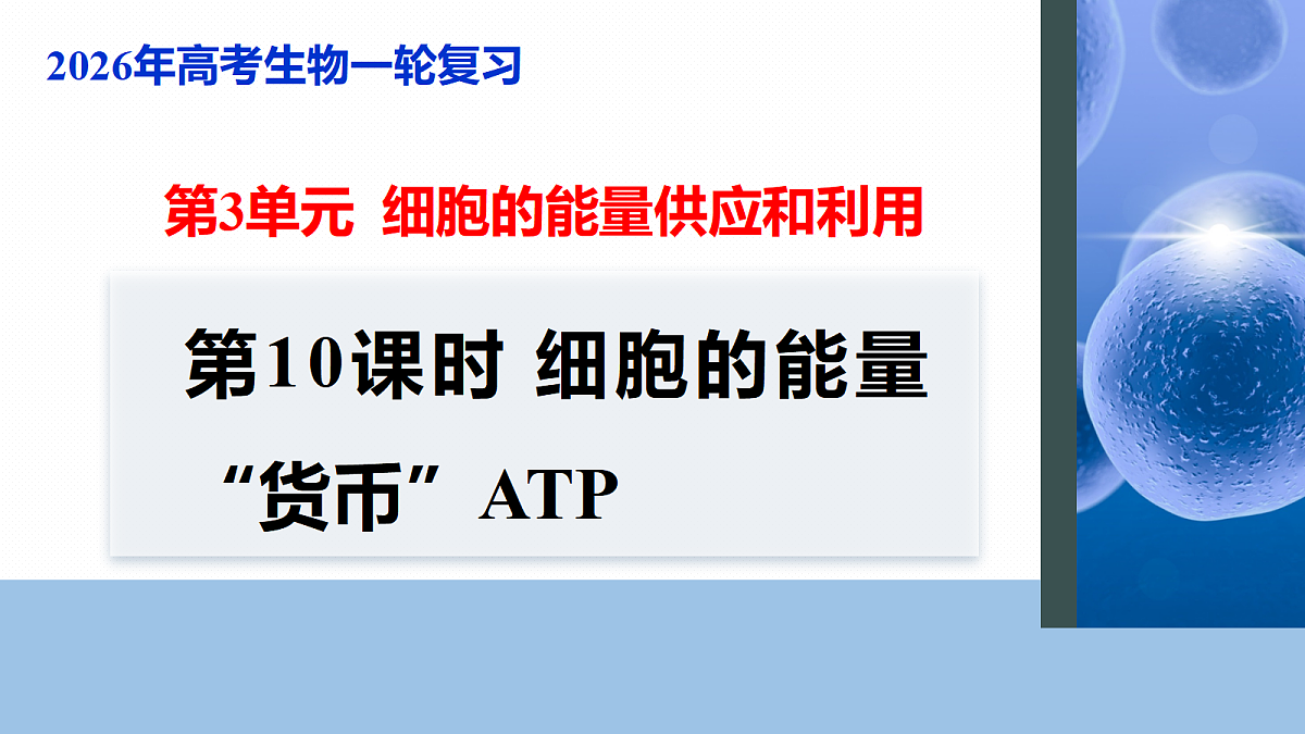 17268676第1页