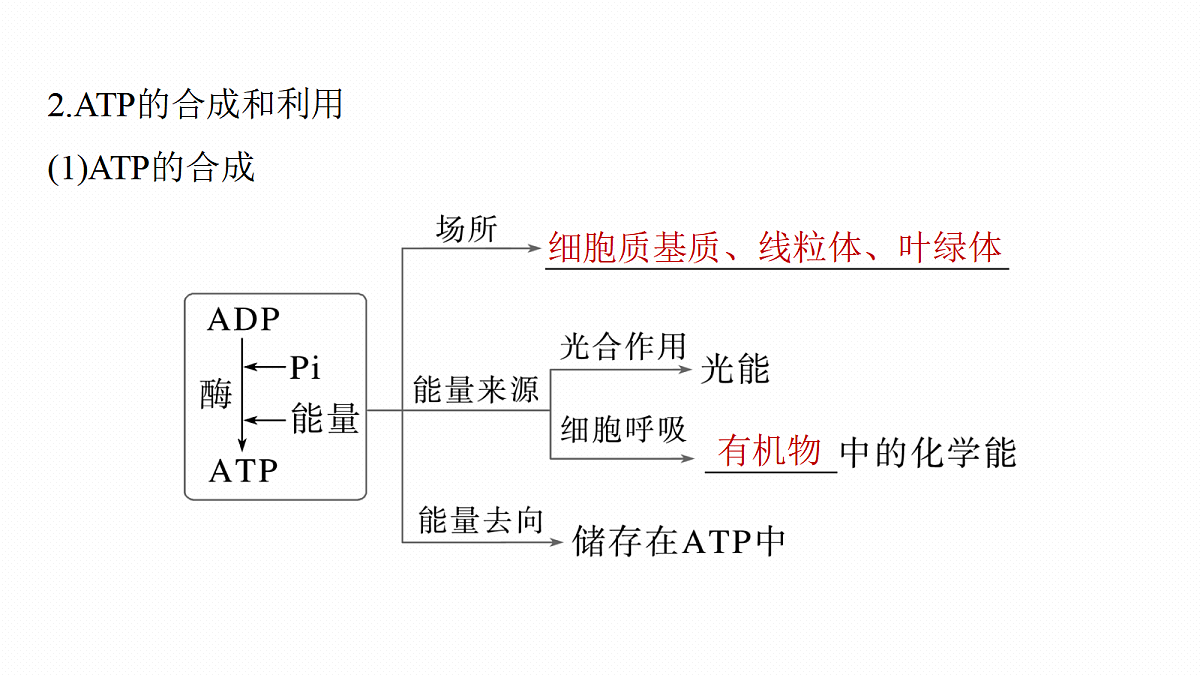 17268676第6页