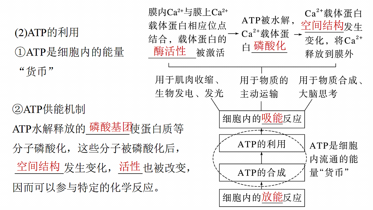 17268676第7页
