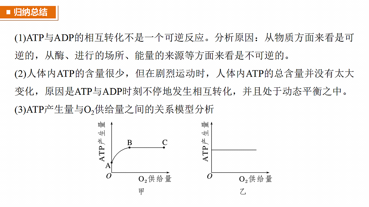 17268676第8页