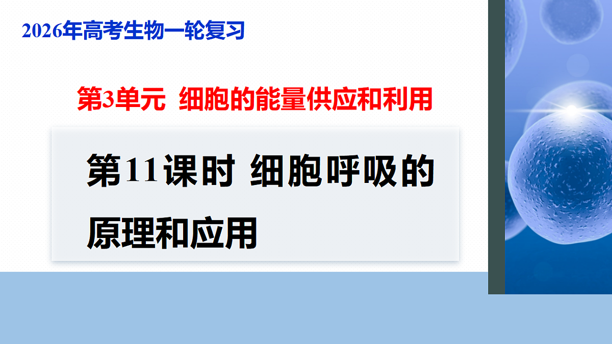 17268678第1页
