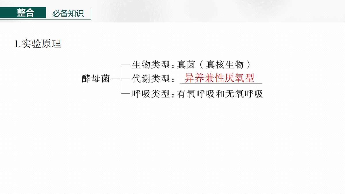 17268678第6页