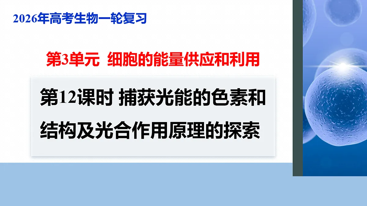 17268680第1页