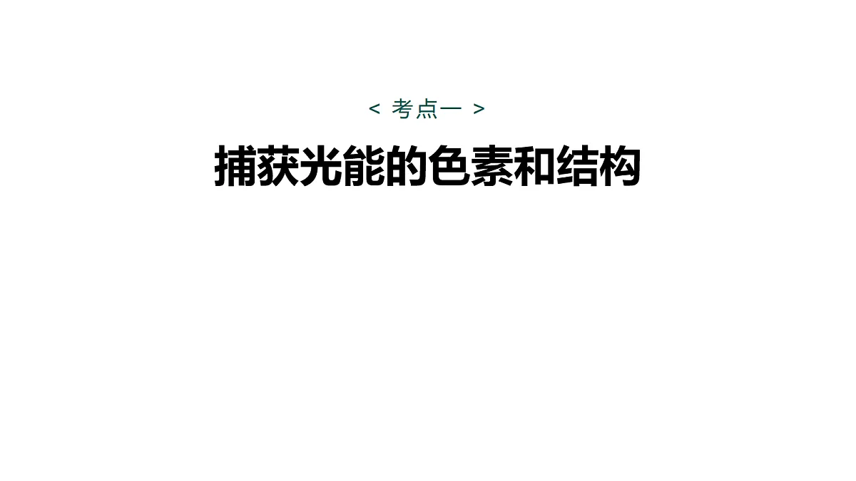 17268680第5页