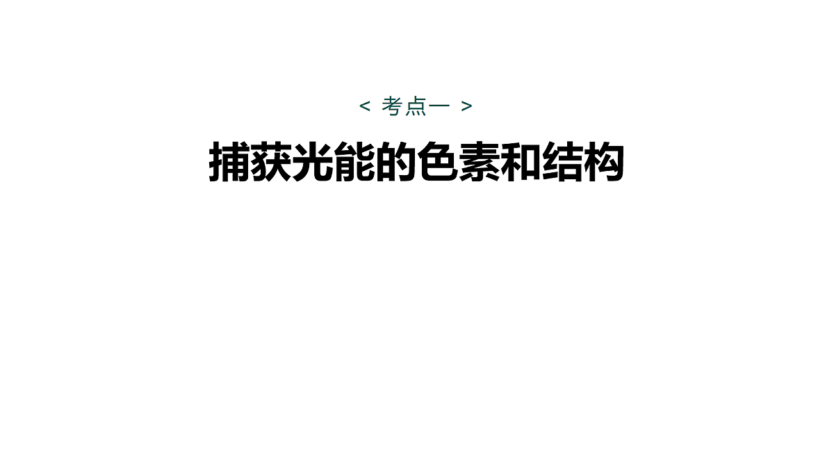 17268680第5页