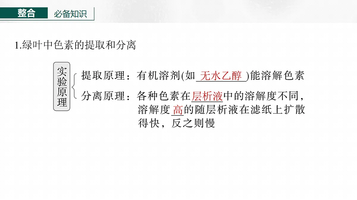 17268680第6页