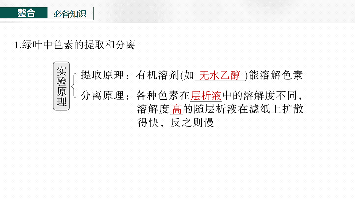 17268680第6页