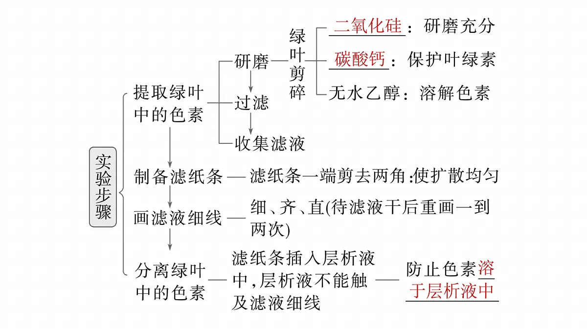 17268680第7页