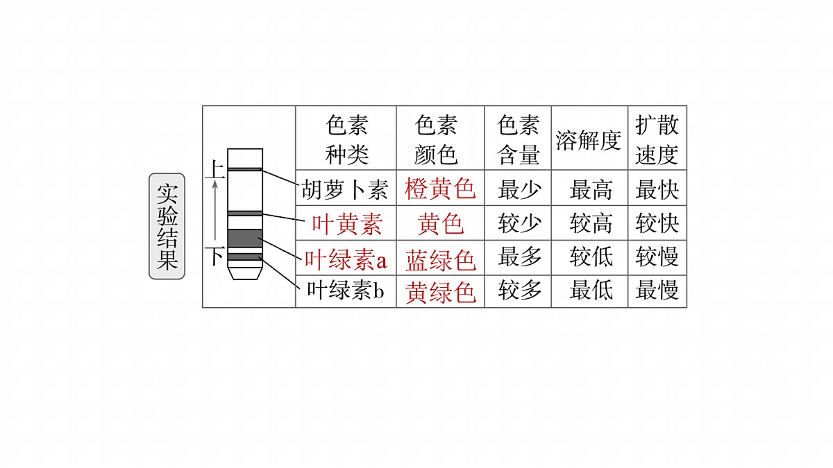 17268680第8页