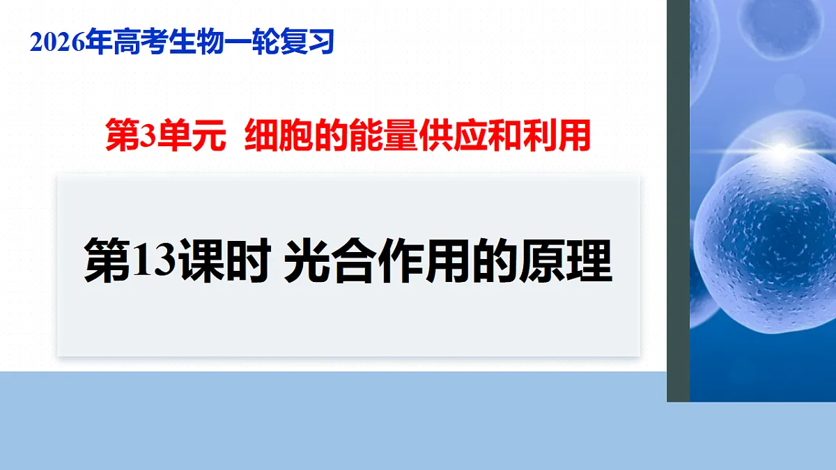 17268682第1页
