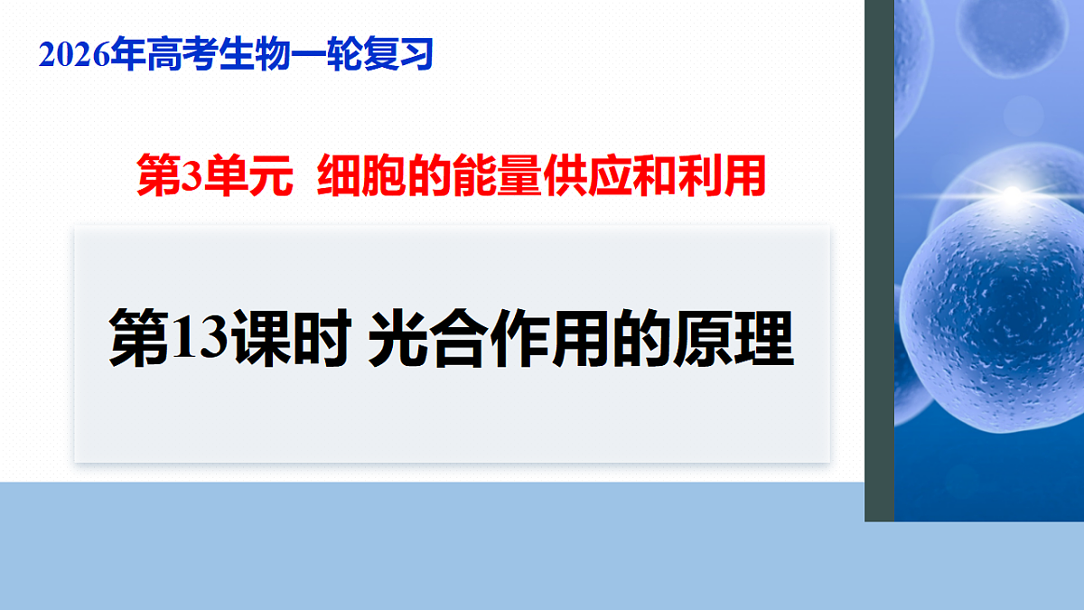 17268682第1页