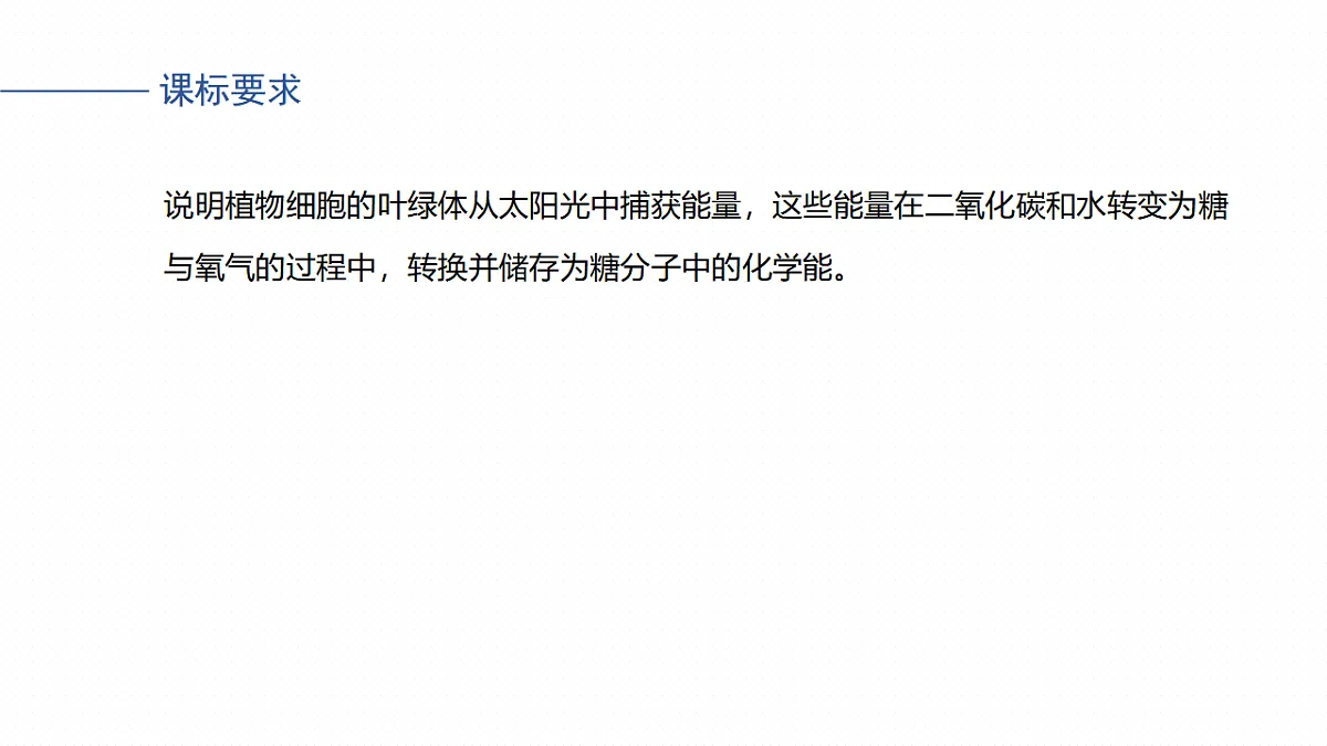 17268682第2页