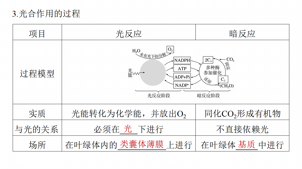 17268682第5页