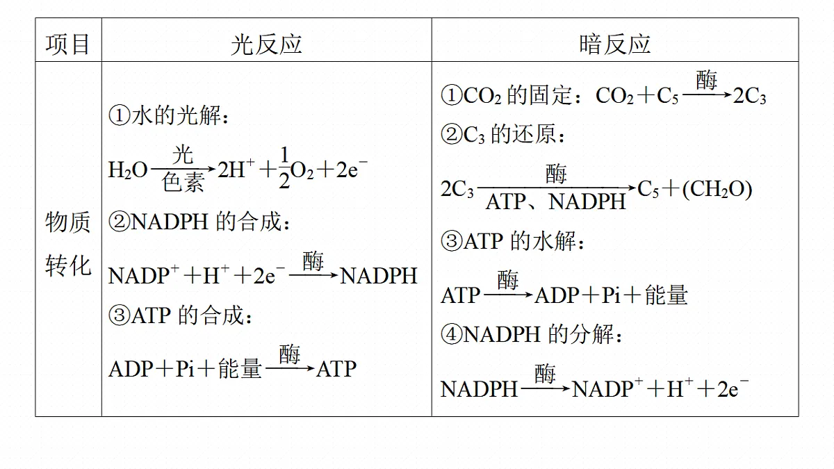 17268682第6页