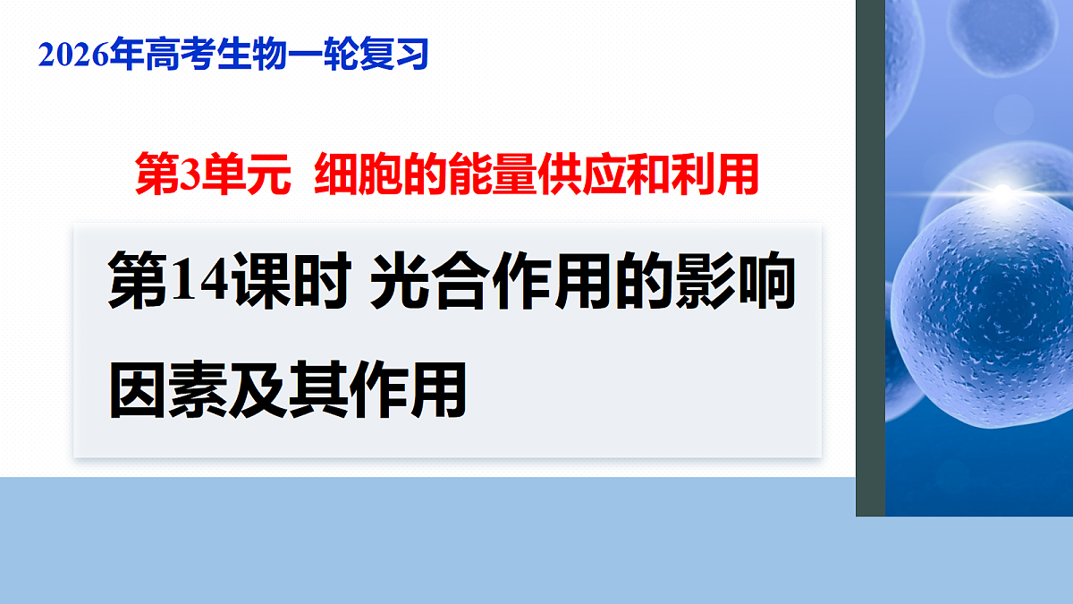 17268684第1页