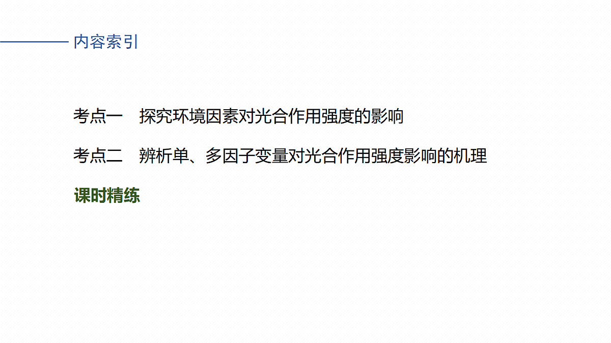 17268684第4页