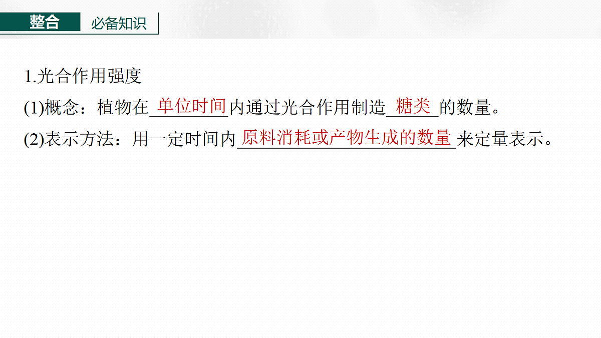 17268684第6页