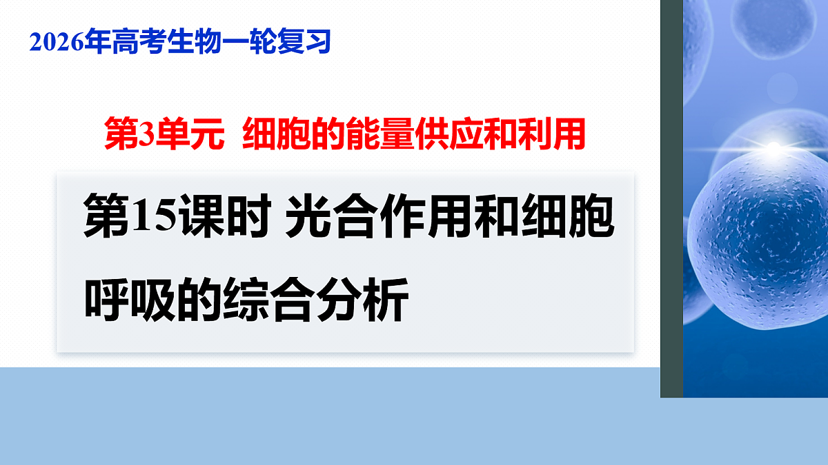 17268686第1页