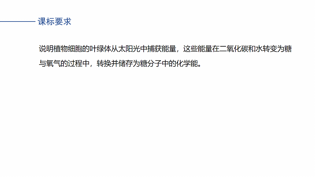 17268686第2页