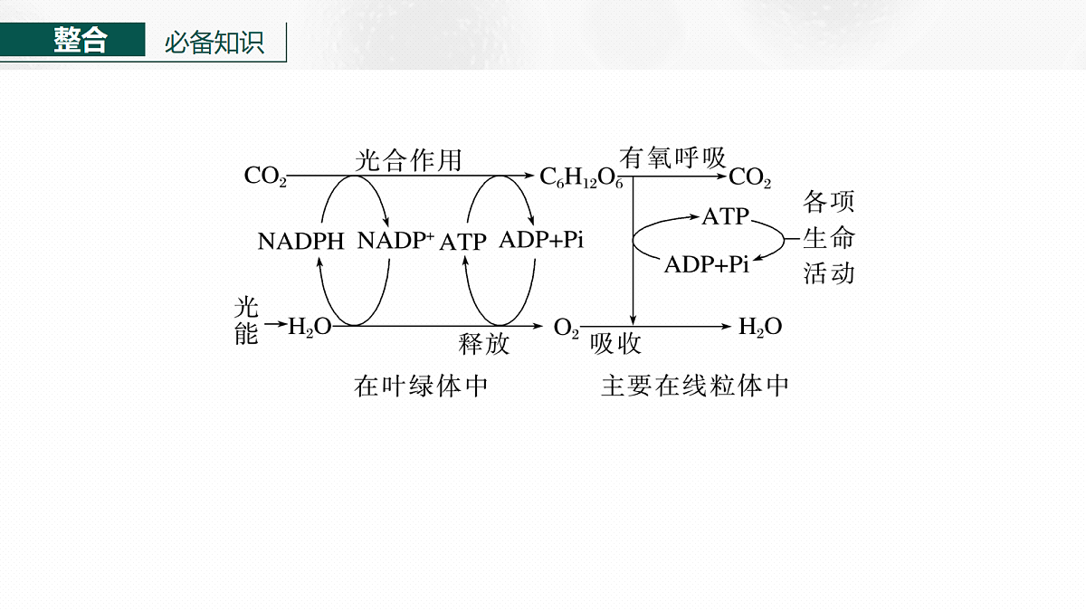 17268686第6页