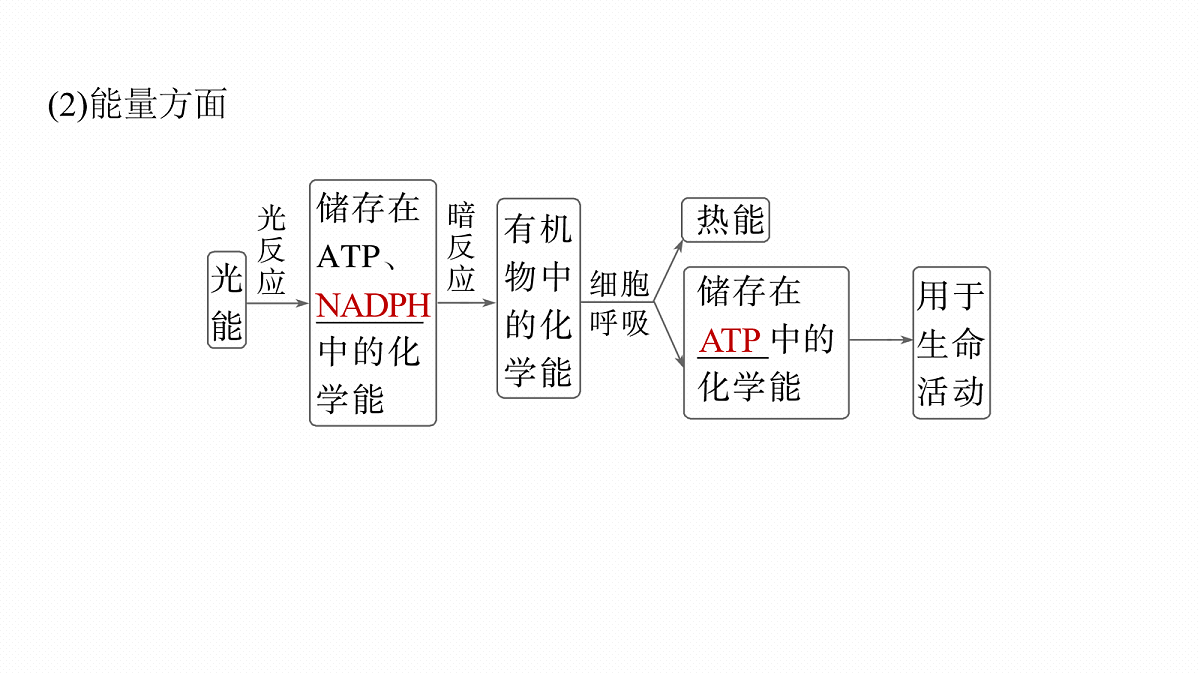 17268686第8页