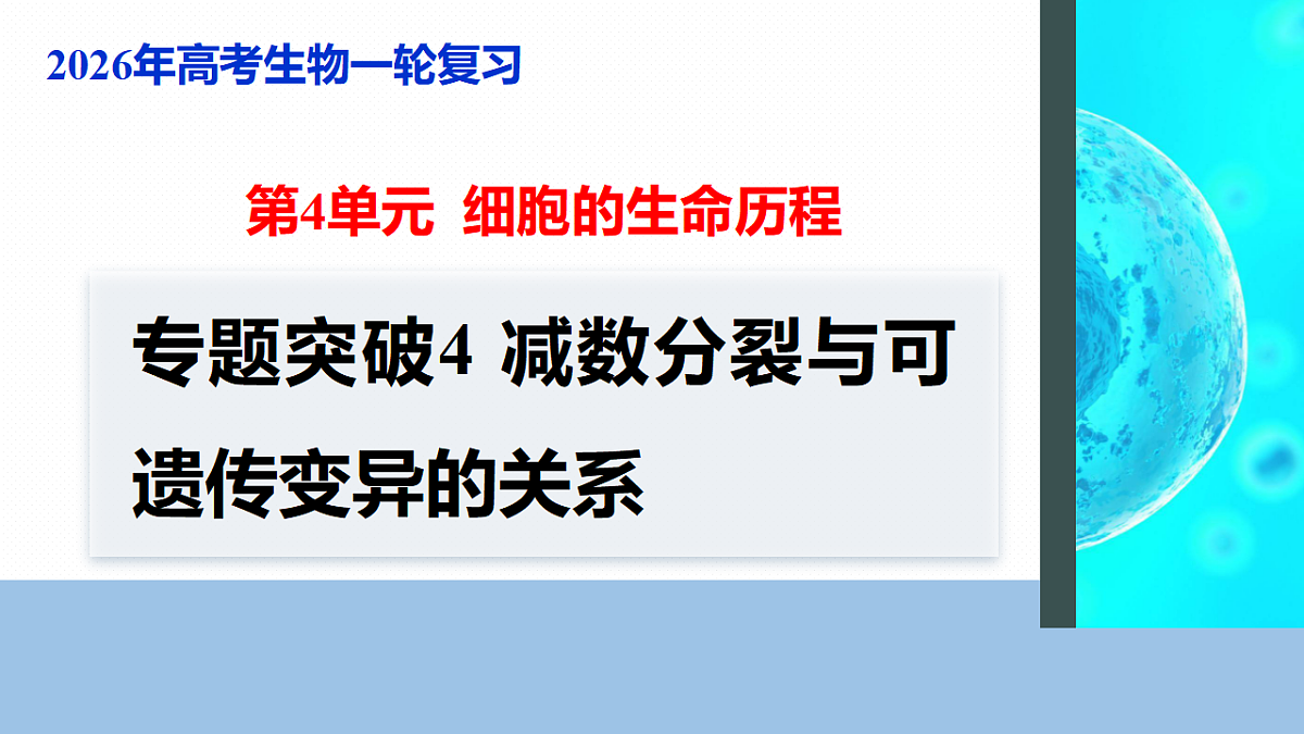 17268688第1页