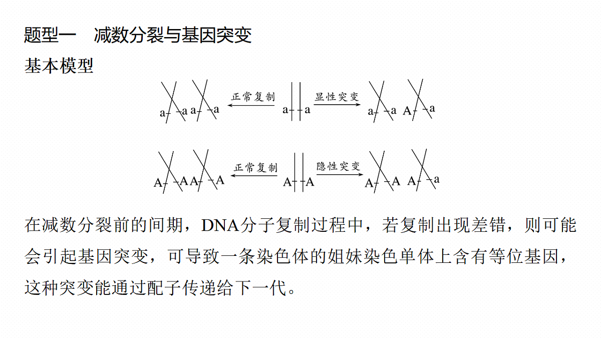 17268688第4页