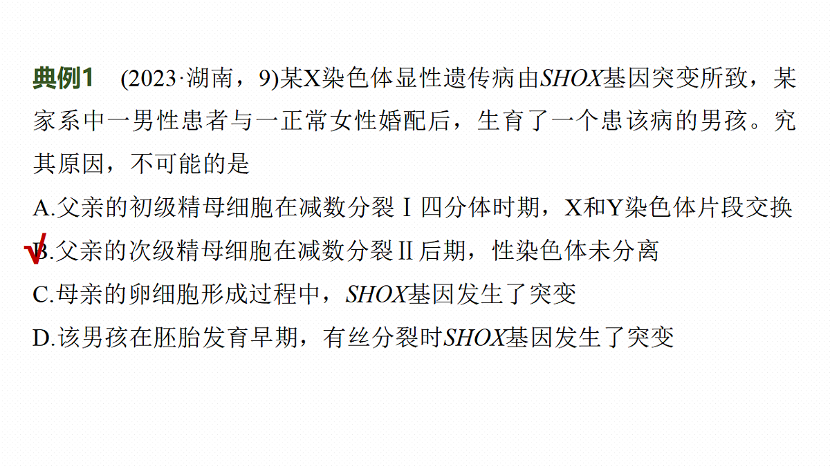17268688第5页