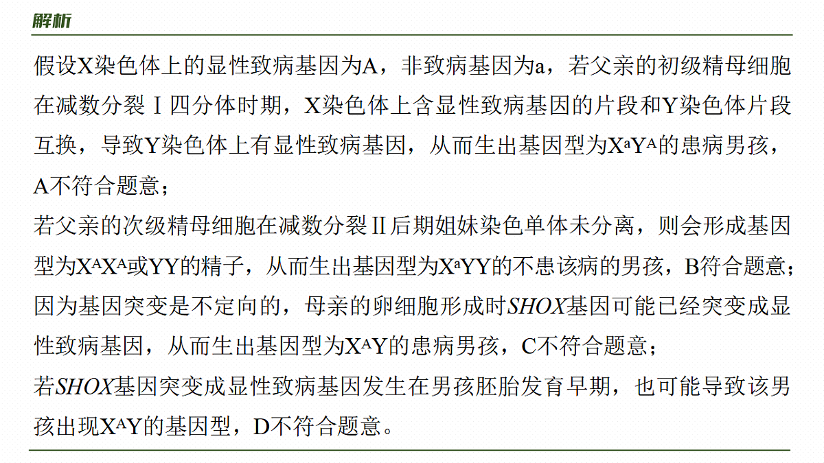 17268688第6页