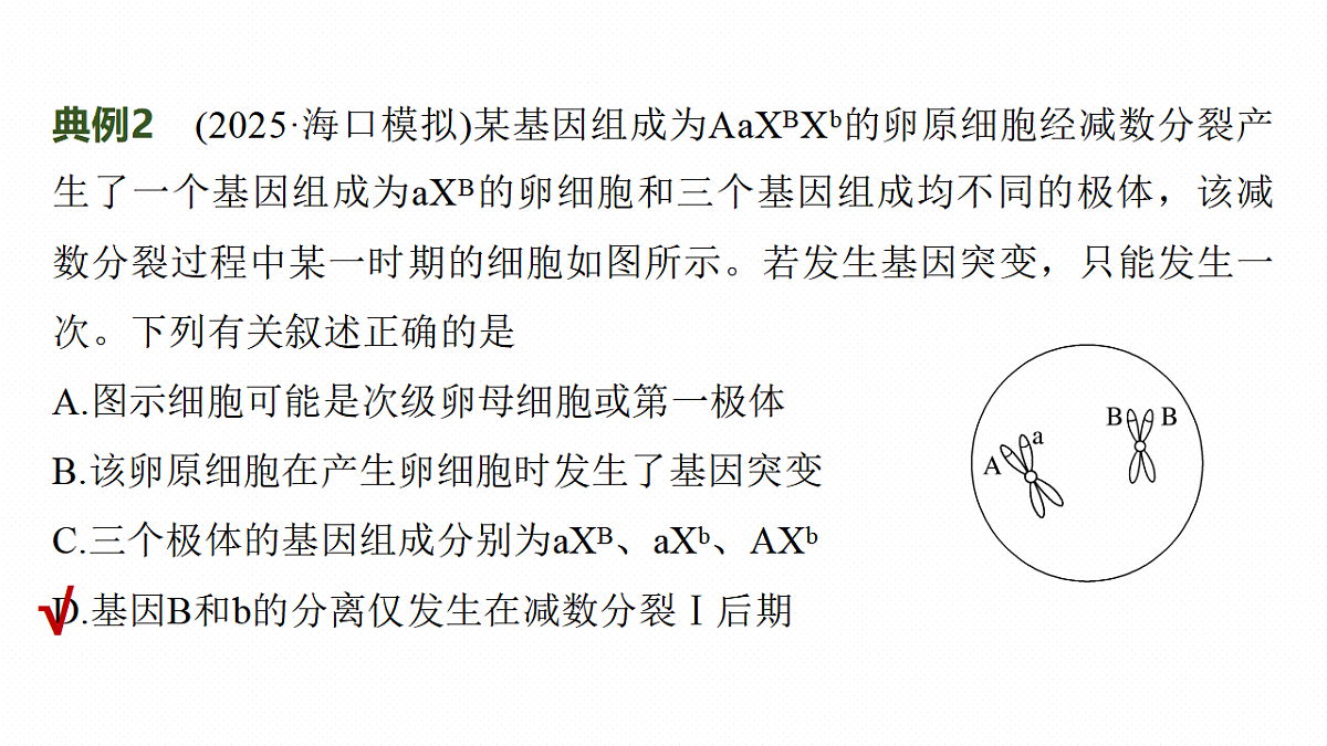 17268688第7页