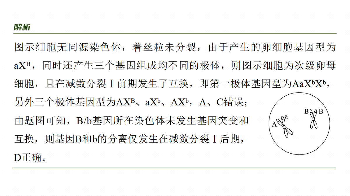17268688第8页