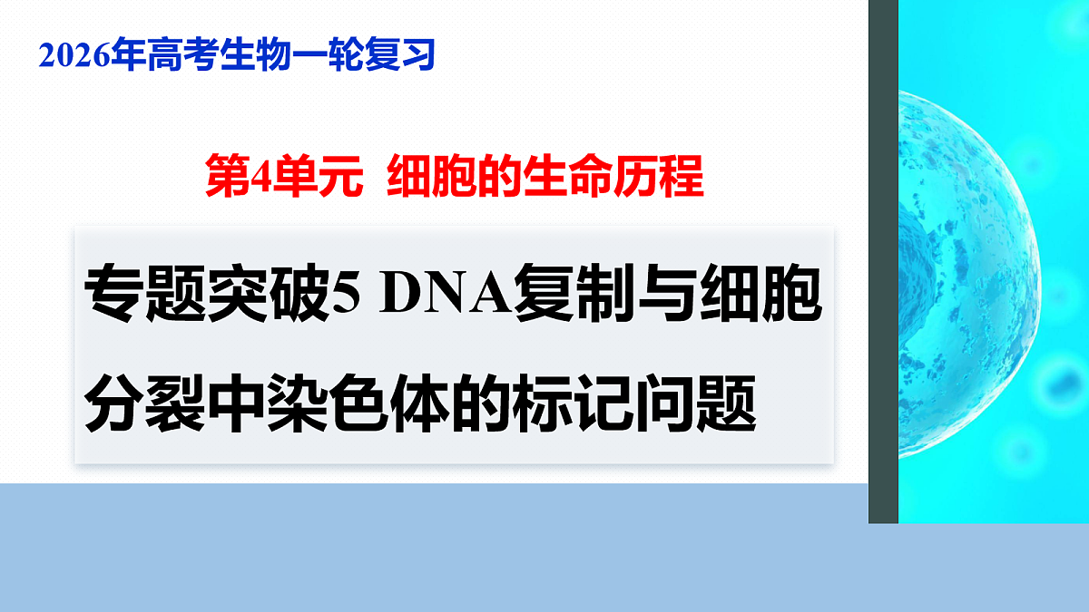 17268690第1页