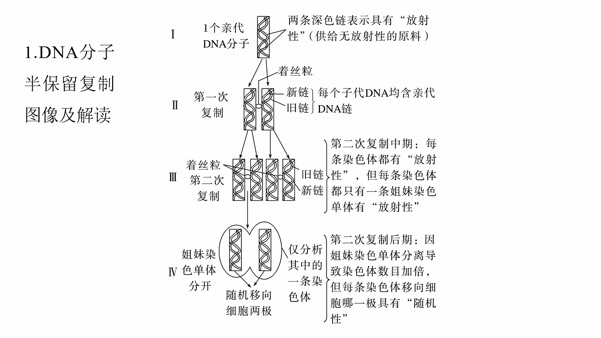 17268690第2页