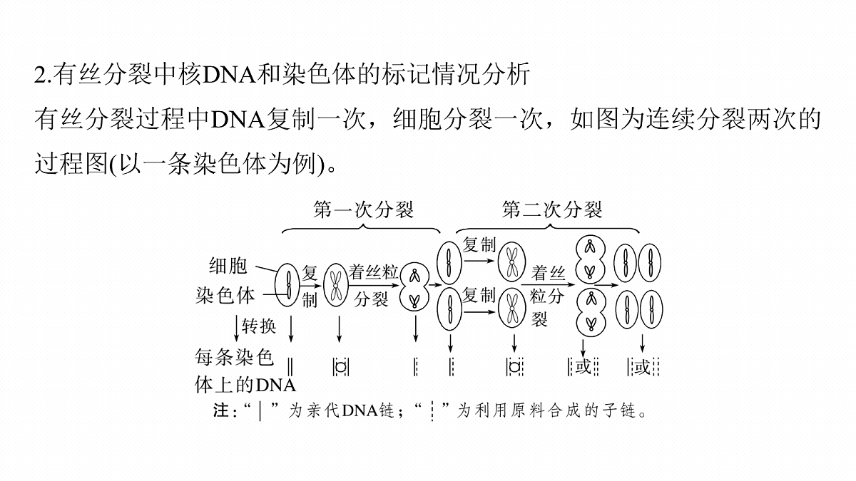 17268690第3页