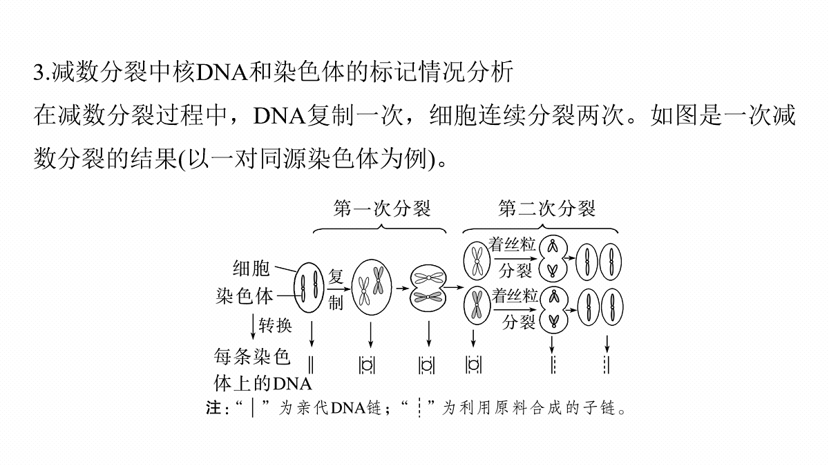 17268690第5页