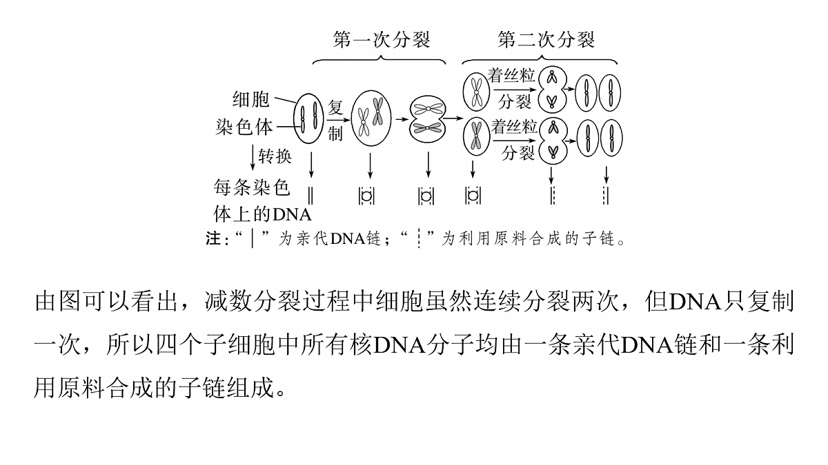 17268690第6页
