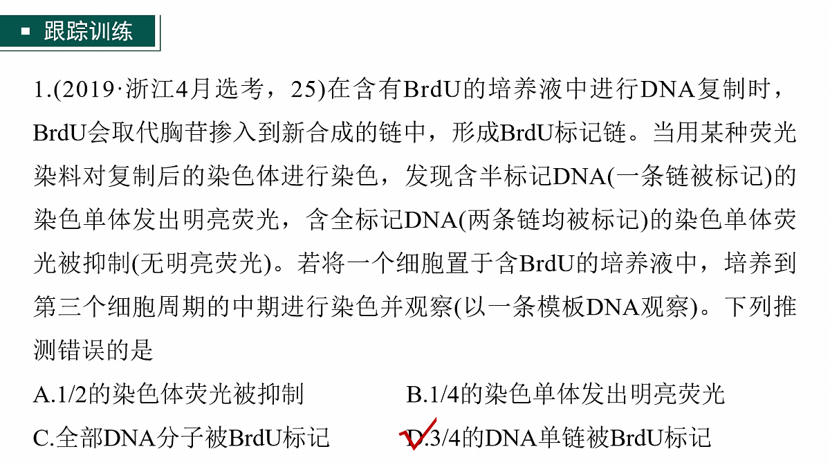 17268690第7页