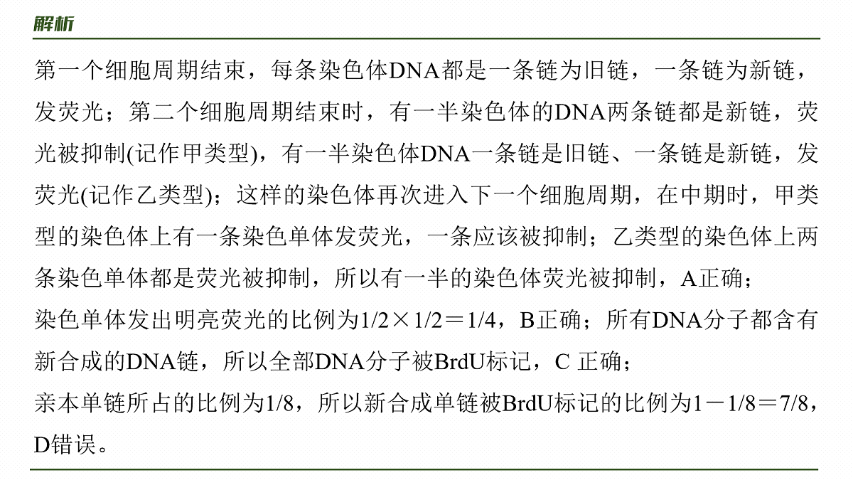 17268690第8页