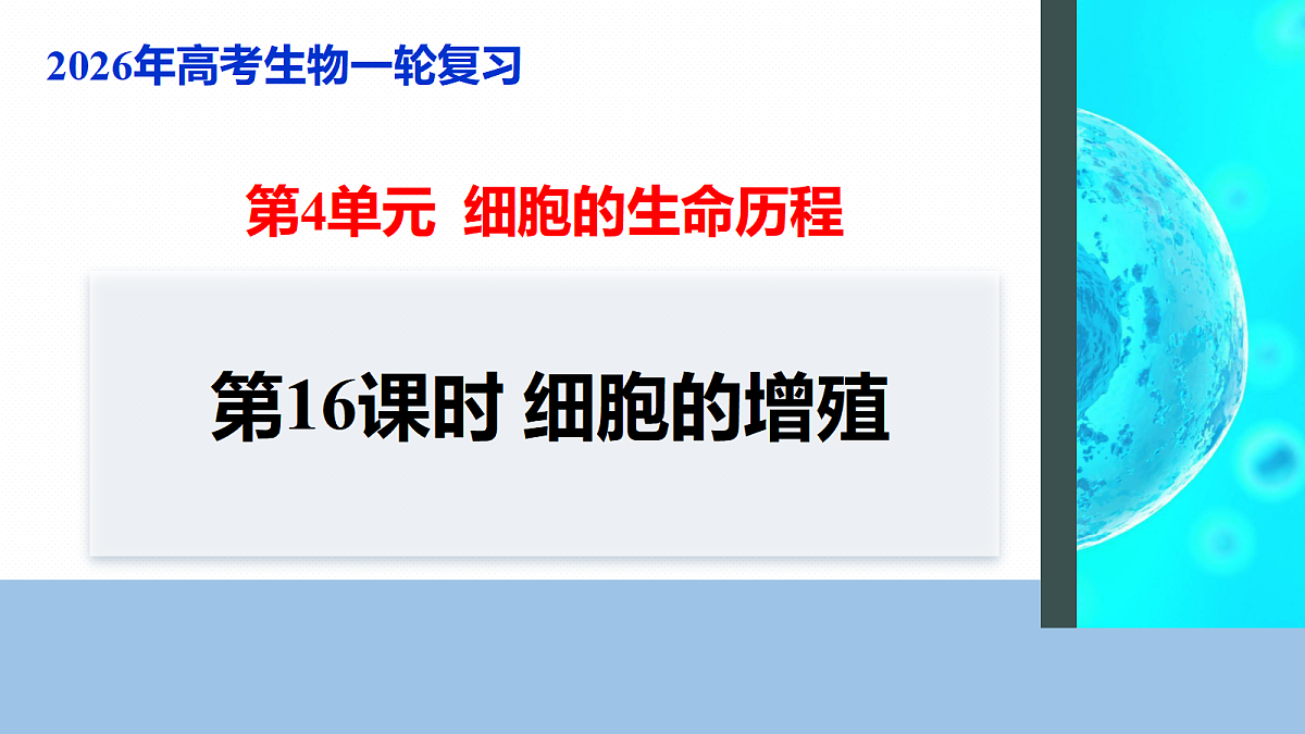 17268692第1页