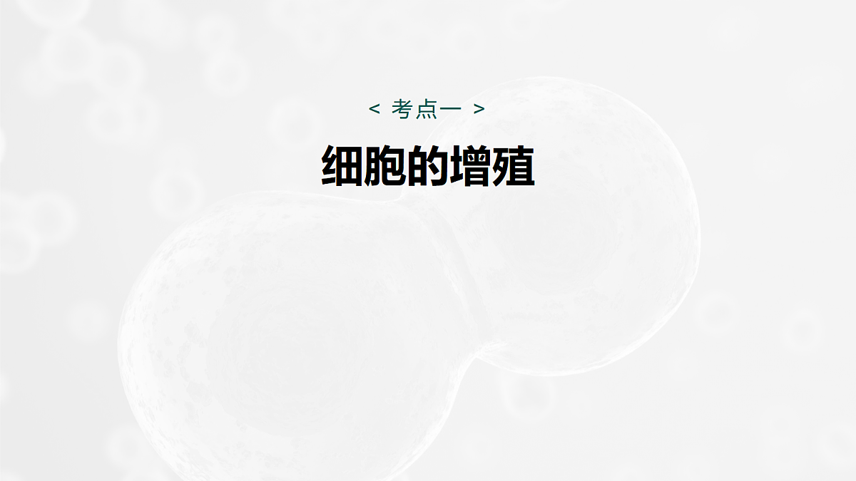 17268692第5页